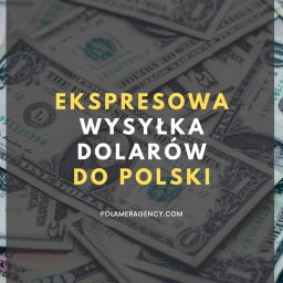 Ekspresowa wysyłka dolarów do Polski